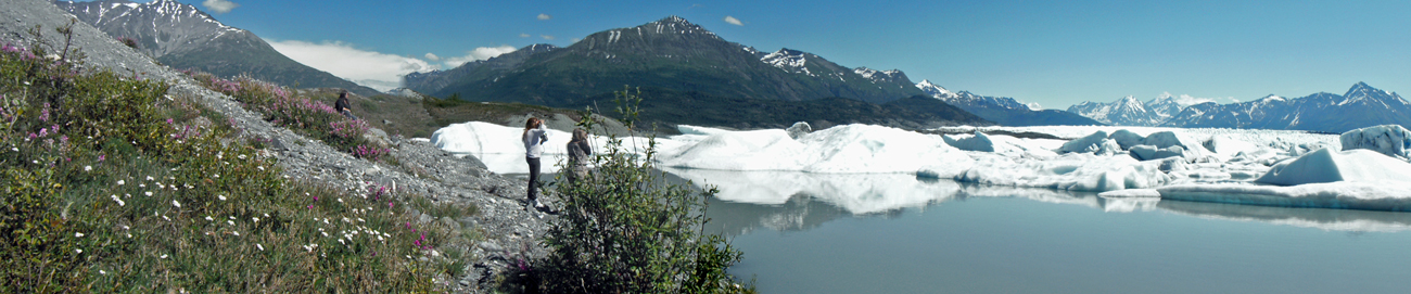 Knik Glacier panorama